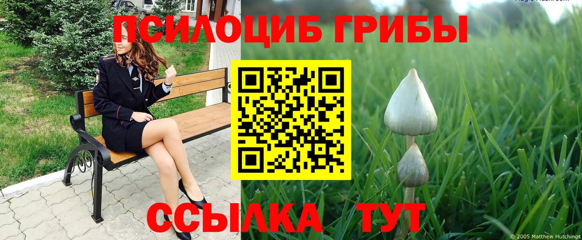 Галлюциногенные грибы прущие грибы Урюпинск