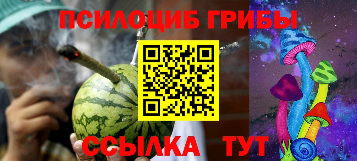 Галлюциногенные грибы Psilocybine cubensis  Псилоцибиновые грибы GOLDEN TEACHER  Урюпинск  Вход с VPN 